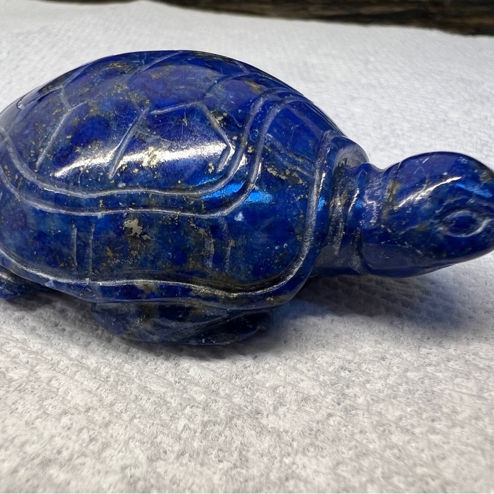 Blue lapis turtle - Picture 5 of 6